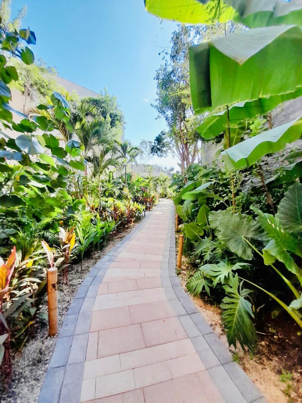 Apartament Adora Tulum Zewnętrze zdjęcie